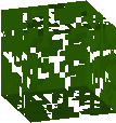birch leaves