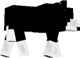 NBM
