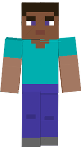 steve 