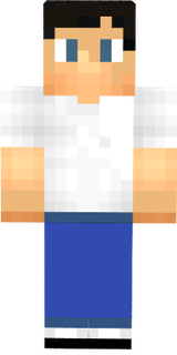 salut salut minecraft