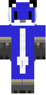 skin