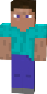 Steve for animation