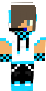 skin