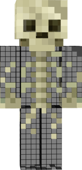 Skeleton