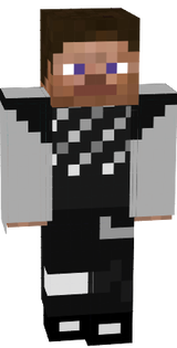 steve sw