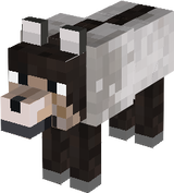 British Racing Stripe Wolf