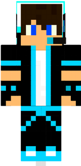 SHAPIKS