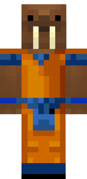 Preview of texture: manolokoBR
