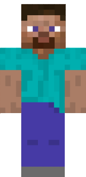Preview of texture: BASIC STEVE