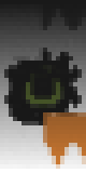 Thedarkbird