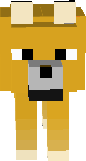 fgdfgh