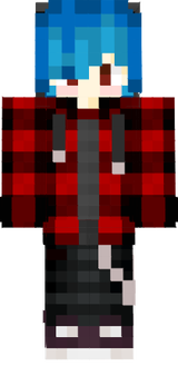 HeyItsEcho