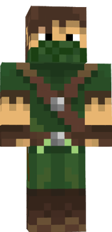link ninja