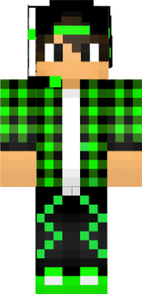 skin