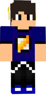 flash gamer