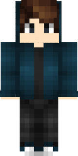 sssssskkkkins minecraft