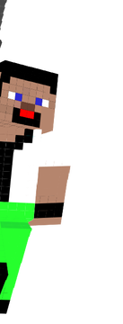 Steve CITE