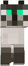 cat_siamese