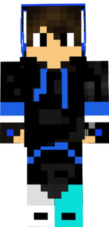 skin