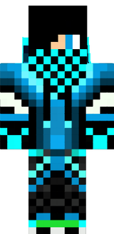 vasa
