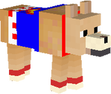 cotoco