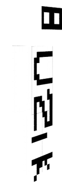 pacek