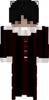 HW SK