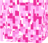 Cherry Blossoms
