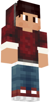 skin budi