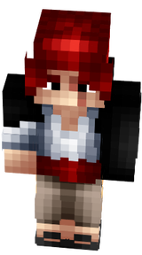 shanks
