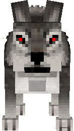 hond