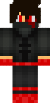 ninja 2
