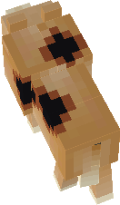 wolf_tame