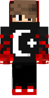 13213