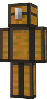 chest