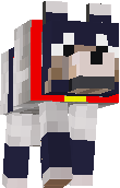 dgsg