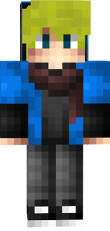 skin dd