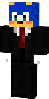 sonic skin 2