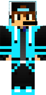 dsgs