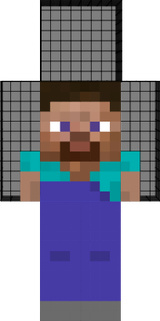 steve