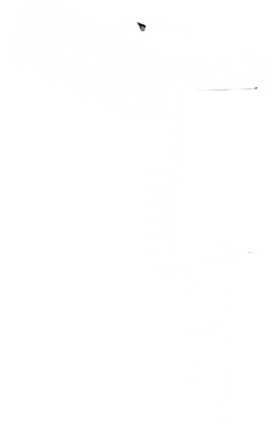 Preview of texture: SVDS