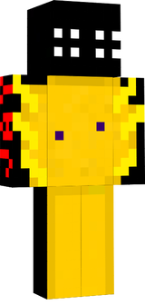 www