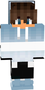 skin minecraft