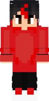 DIRMOO 4.0