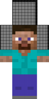 ner