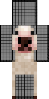 jj