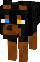 opop