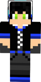 Skin