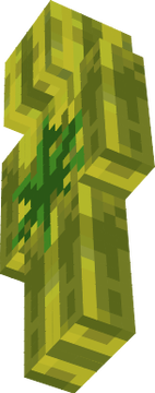 Melon2.0