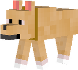 Tóby cachorro do voposto